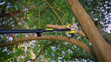 T-5487830536 RY Expand-it Range POLE PRUNER REPRUA20_16x9 v4.mp4