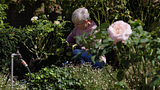 R18SEC 18V ONE + 20mm PRUNING SECATEURS V2 (1).mp4