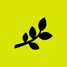 Icon: black branch on hyper green background