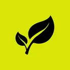 Icon: black leaves on hyper green background