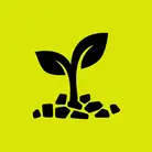 Icon: black plant with mulch at base on hyper green background
