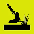 Icon: black brush cutter on hyper green background