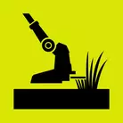 Icon: black brush cutter on hyper green background
