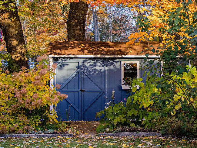 A pituresque garage shed with a bold blue exterior and terracotta ceilng, in a backyard surrounded by autumnal foliage. 